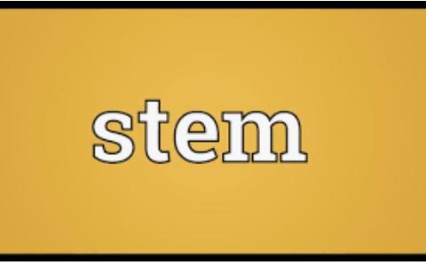 www.aamn_.africa-and-stem-education-in-Africa