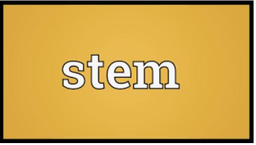 www.aamn_.africa-and-stem-education-in-Africa